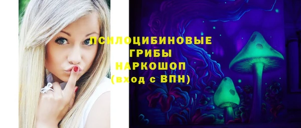 стаф Беломорск